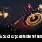 SV88 – Nhà Cái Cá Cược Nhiều Kèo Thể Thao Hấp Dẫn 25 SV88 – Nhà Cái Cá Cược Nhiều Kèo Thể Thao Hấp Dẫn