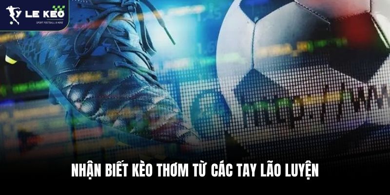 Kèo Châu Âu Là Gì? Hướng Dẫn Cách Chơi Kèo 1x2 Bách Phát Bách Thắng 3 Nhận biết kèo thơm từ các tay lão luyện