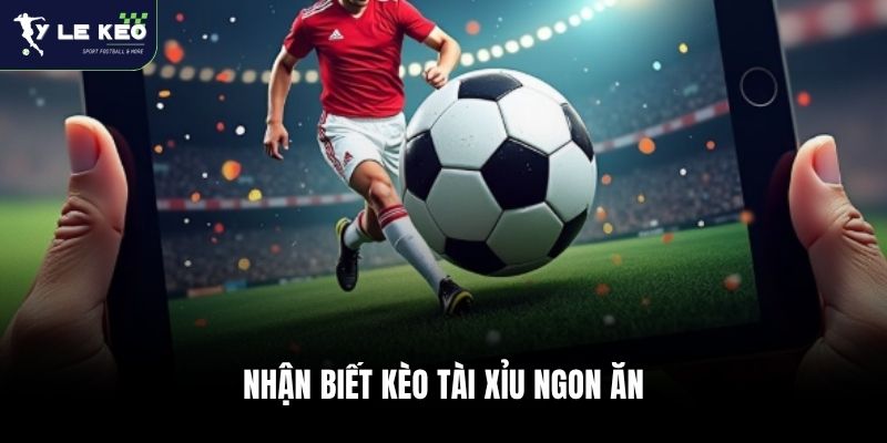 Tỷ Lệ Kèo Nhà Cái 45 Nhận biết kèo Tài Xỉu ngon ăn