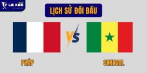 Lịch sử đối đầu Pháp vs Senegal | Thống kê và phân tích chi tiết 16 Lịch sử đối đầu Pháp vs Senegal | Thống kê và phân tích chi tiết